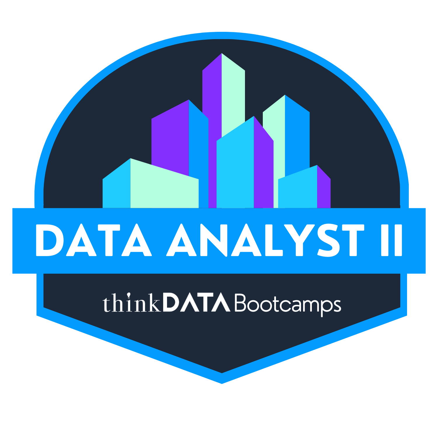 Data Analyst Bootcamp & Data Analytics Training | ThinkData