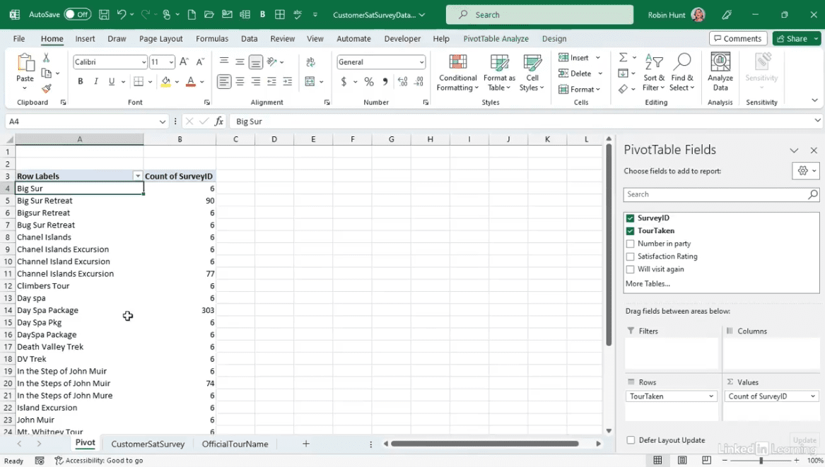 Excel spreadsheet showing tour survey data.