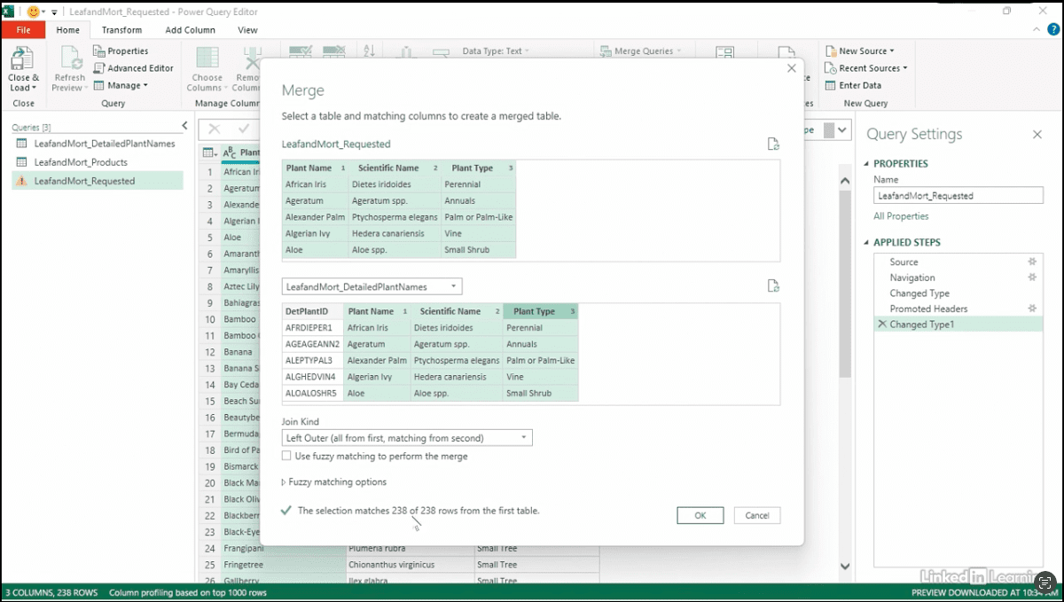 Power Query Editor merging plant data tables.