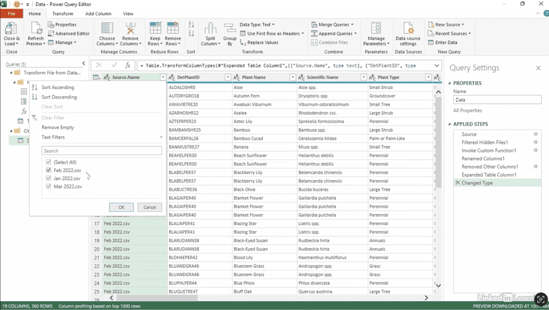 Data table in Excel Power Query Editor.