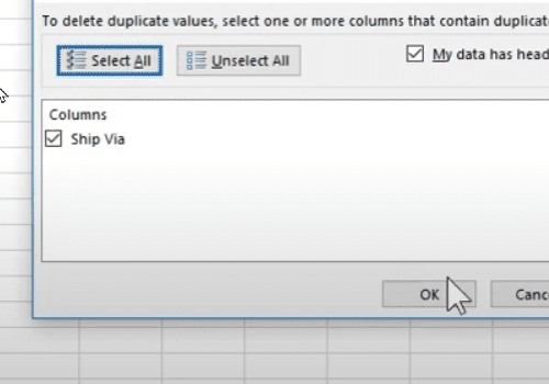 Removing Duplicates, Build a SumIF, and Creating a Chart in Excel